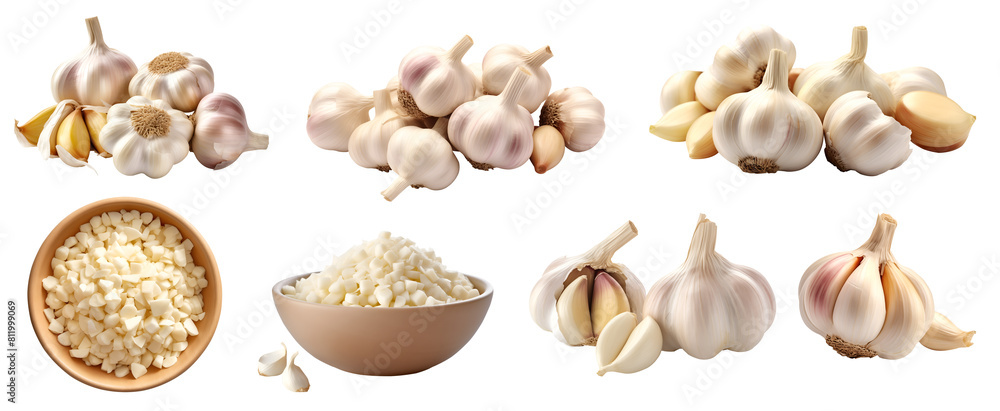 Sticker garlic vegetable herb, many angles and view side top front cluster pile group isolated on transparen - Stickers