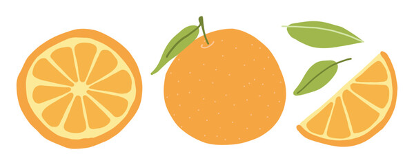 Cartoon vector illustration of whole and sliced oranges with leaves isolated on white background.