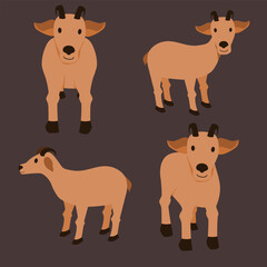 set of goat illustration