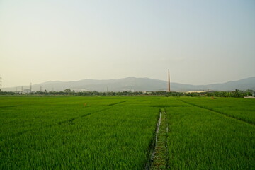 Landscape of agricultural fields in the countryside