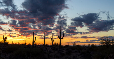 Panoramic Desert Sunset Landscape With Silhouetted Cactus On Ridge