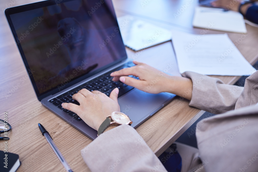 Poster business, person and typing on laptop with keyboard at desk, working with technology for company. hu