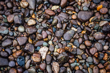Abstract river colorful pebble stones background. Pattern of wet rocks gracefully arranged. Each stone glistens in the gentle water, creating an intricate mosaic of earthy colors and textures