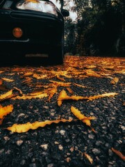  Close-up of a black car’s front, adorned with yellow leaves on asphalt, evoking an autumnal mood.