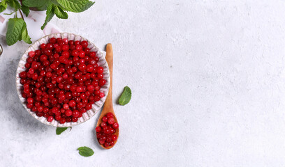 ripe organic berry red cranberry in a bowl