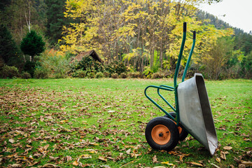 An empty wheelbarrow, garden cart in an autumn garden, against a background of trees and a lot of fallen dry yellow leaves with copy space. Seasonal gardening, plant care, gardening and farm tools