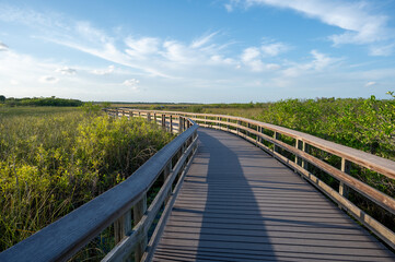 Obraz premium Anhinga Trail elevated boardwalk over wetlands of Everglades National Park, Florida on sunny summer day..