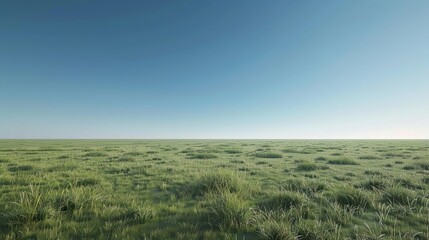 Obraz premium Grassy field stretching into the horizon against a clear blue sky