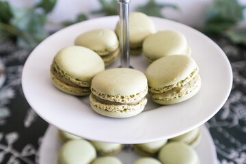Detail of a candy table. A white porcelain dish with typical French macarons in green color.