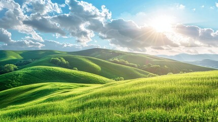 Rolling hills covered in vibrant green grass on a sunny day