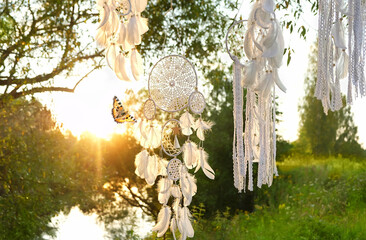 dream catchers hanging on tree outdoor, natural sunny background. ethnic Shaman native amulet,...