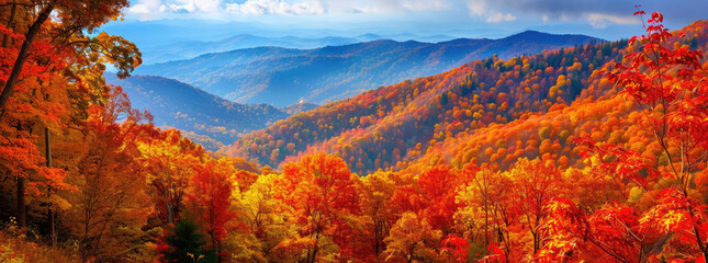 Immerse yourself in the vibrant colors of fall foliage Feel the beauty of nature and the changing seasons Immerse yourself in the embrace of this picturesque mountain forest