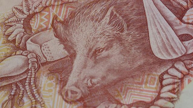 20 kina Papua New Guinea national currency legal tender banknote bill close up 5