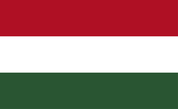 Hungarian flag vector illustration. The national flag of Hungary.
