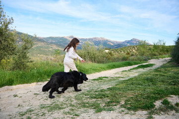 Adorable Caucasian child girl walking her pedigree dog, a black purebred cocker spaniel in the...