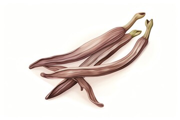 vanilla bean, aromatic vanilla bean. cartoon drawing, water color style,