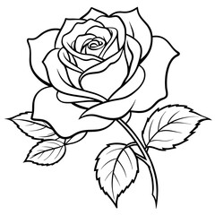 Rose flower outline coloring book page line art drawing vector illustration for children and adults