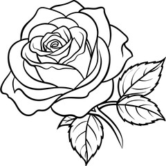 Rose flower outline coloring book page line art drawing vector illustration for children and adults