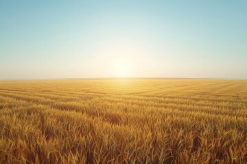 A serene sunset bathes an expansive wheat field in golden light, creating a peaceful and endless horizon under a clear sky.
