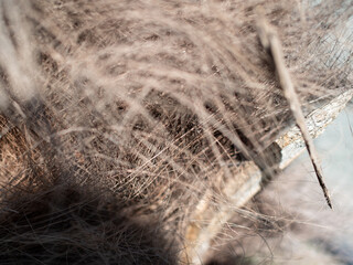The trunk of an old palm tree in the garden.