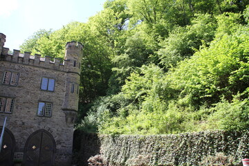 Burg im Wald