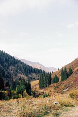 autumn landscape in the mountains