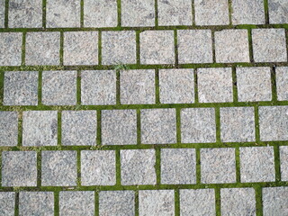 Background stone path to the house.
