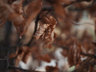 Early autumn in the old garden under the bright rays of the sun.