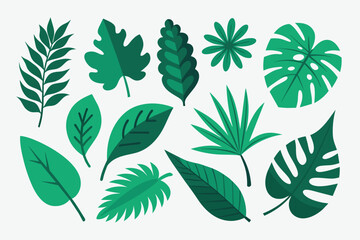 Set of tropical Leaves Vectors design