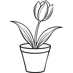 Tulip flower outline coloring book page line art drawing vector illustration for children and adults
