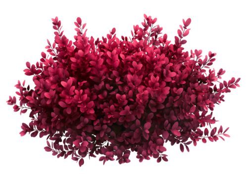 Burgundy shrub in the shape of an oval design isolated on transparent or white background - Powered by Adobe
