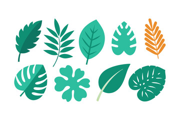 Set of tropical Leaves Vectors design