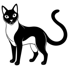 Anatomy Thai black cat vector silhouette on white background 