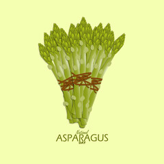 National Asparagus Day event banner. Several bunches of asparagus stems on a light green background to celebrate on May 24th