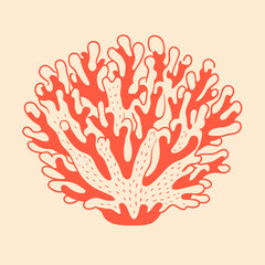 Set of sea shells, algae and starfish. Vector illustration isolated