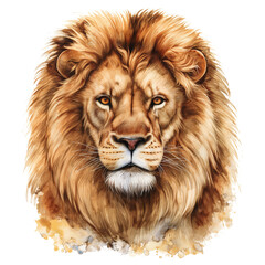 Naklejka premium Lion head hand drawn in watercolor isolated on transparent background.