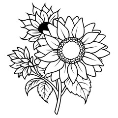 Sunflower outline coloring book page line art drawing vector illustration for children and adults