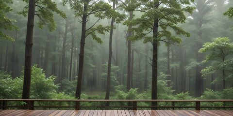Obraz premium A rainy day in a forest with a wooden deck in the foreground