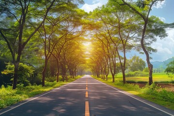 Obraz premium Empty highway road among rubber tree with sunbeam