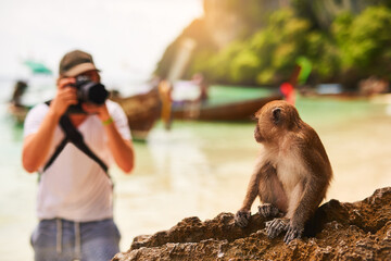Man, camera and monkey with sunshine, beach and tropical island with getaway trip, Bali and seaside. Person, photographer and tourist with memory, travel and summer with wild animal and adventure