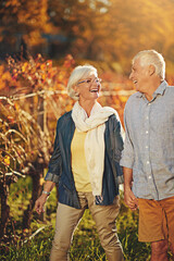 Senior couple, holding hands and walking in vineyard for love, romance and support in outdoor nature. Elderly people, speaking and laugh together on vacation, holiday and retirement for marriage