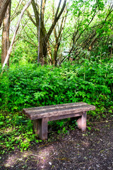 Old wooden bench in the countryside