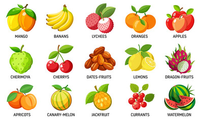 Common fruits vector illustration collection