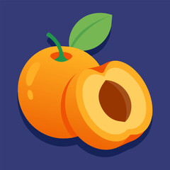 Eaten apricots vector illustration