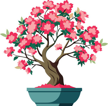 Bonsai clip art preview