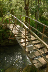 Pasarela de tablones de madera en arroyo de bosque 