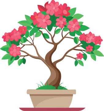 pink flowering bonsai tree in pot clip art preview