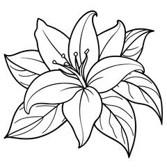 Lily flower outline coloring book page line art drawing vector illustration for children and adults