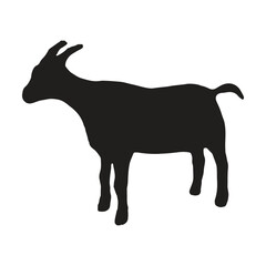 black goat with silhouette, white background
