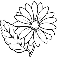 Daisy flower outline coloring book page line art drawing vector illustration for children and adults